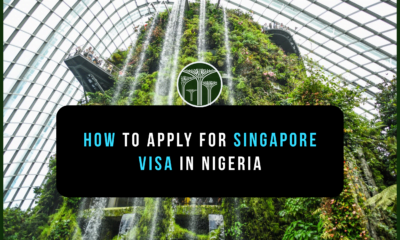 Singapore Visa from Nigeria